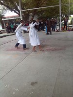 /album/plantel-101/img-20141210-114829-jpg/